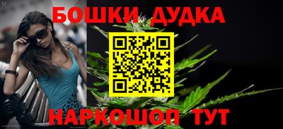 дурь Сланцы